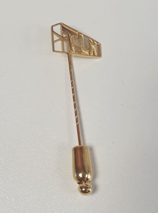 TLN Insigne Pensioen goud