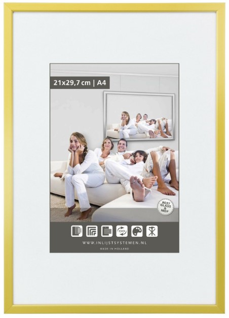 Goudkleurige lijst voor TLN oorkonde 30x40 met passe-partout